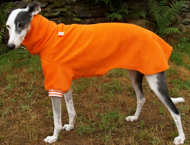 Pulli in Größe S, Maße des Hundes: Rückenhöhe: 58cm, Rückenlänge: 56cm, Brustumfang: 61cm, Bauchumfang: 43cm