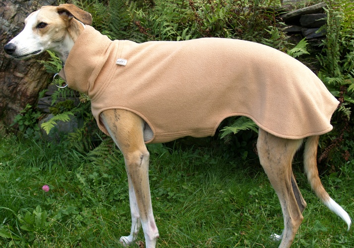 Pulli in Größe L, Maße des Hundes: Rückenhöhe: 72cm, Rückenlänge: 69cm, Brustumfang: 75cm, Bauchumfang: 49cm