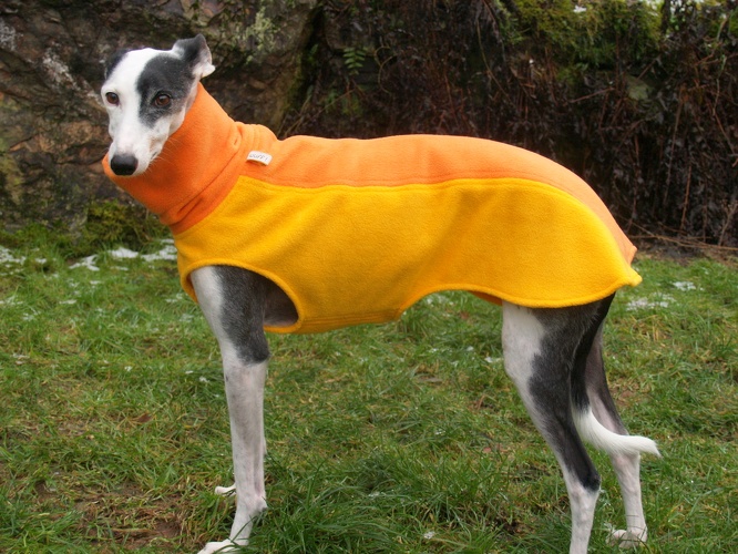 Modell: "Bibo", Fleece: Dunkel-Gelb und Orange, Variante 1